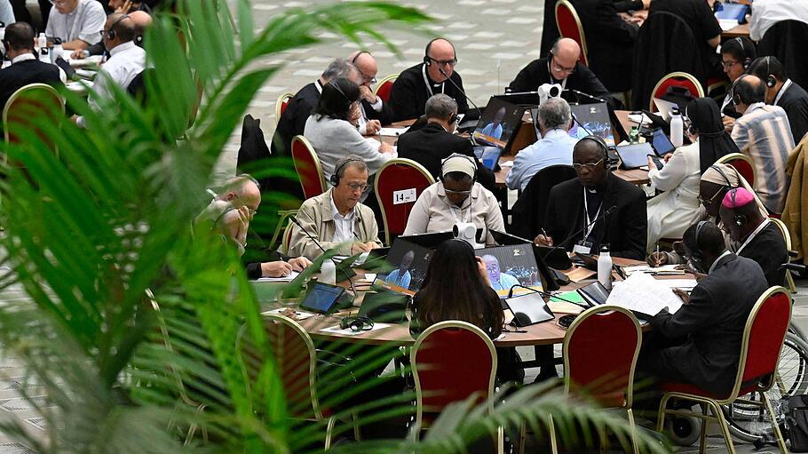 Eine Umfrage auf „X“ offenbart einen mehrheitlich kritischen Blick auf Synodalität