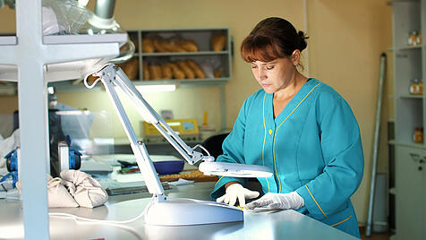 Laboratory  research  of  corn  seeds.  samples  of  different  species,  varieties  of  selection