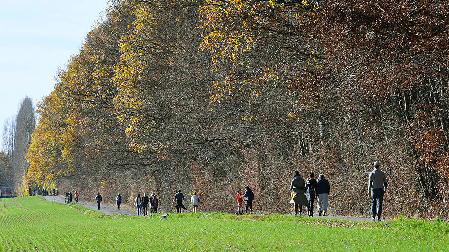 Spaziergaenger zwischen Kressbach und Eckhof am Waldrand in der Herbstsonne inTuebinge