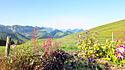 Alp L’Hauta-Chia