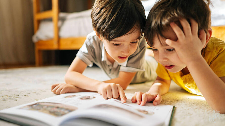 Zwei Brüder lesen ein Buch