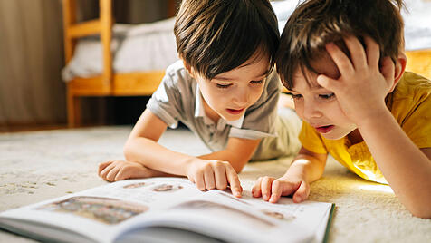 Zwei Brüder lesen ein Buch