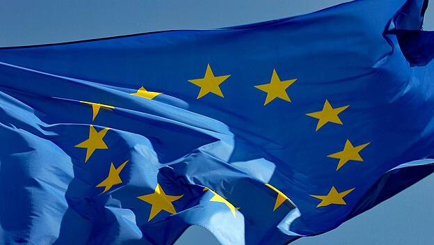 Werner Weidenfeld zur Europawahl