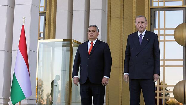 Orban und Erdogan