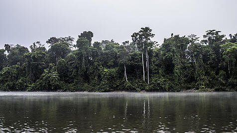 Klimaaktivist Shellenberger engagiert für den  Regenwald