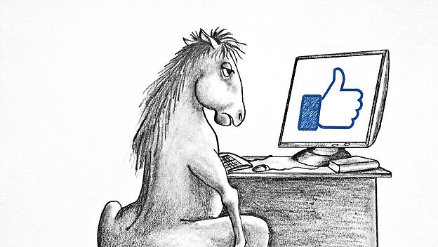 Horse sitting at the table with computer. Allegory hard work. Wo