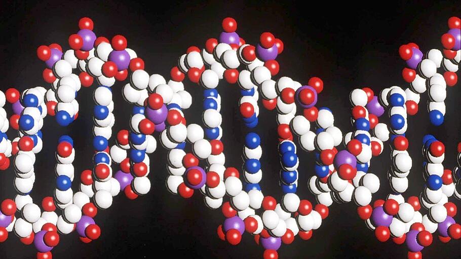 DNA - Doppelhelix
