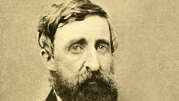Henry David Thoreau, Schriftsteller und Philosoph
