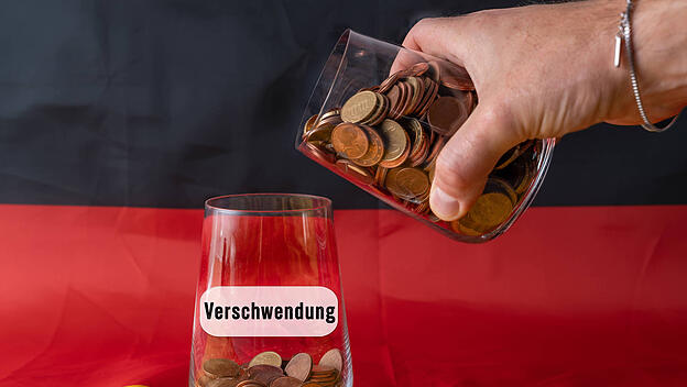 Steuergelder f&uuml;r Abtreibungsaktivisten