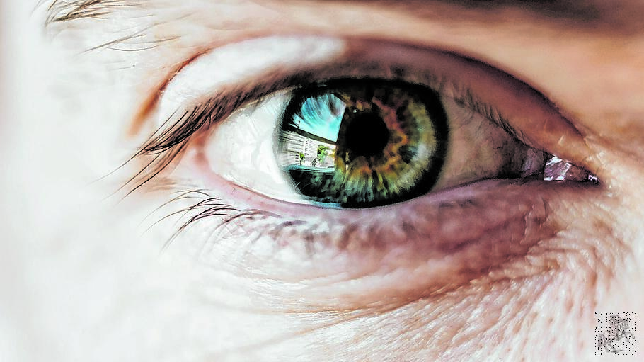 Auge