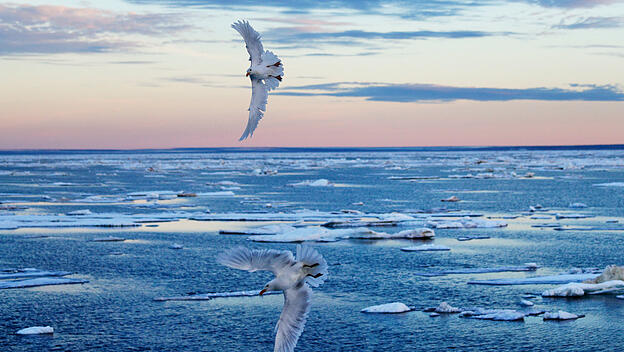 Deutsche Bisch&ouml;fe fordern Kampf gegen Klimawandel