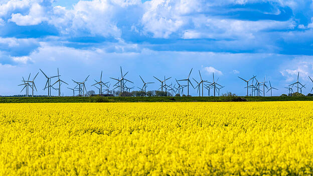 Windraeder im Windpark Norden