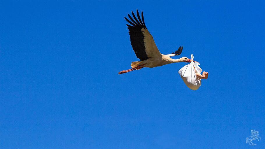 Fotomontage, Fliegender Storch mit Baby im Schnabel bringt Nachwuchs, digitale Komposition *** photomontage, flying stor