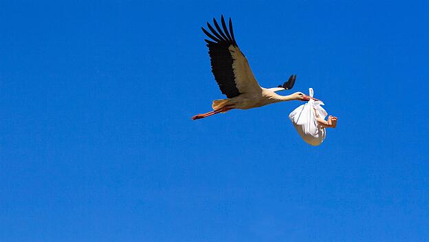 Fotomontage, Fliegender Storch mit Baby im Schnabel bringt Nachwuchs, digitale Komposition *** photomontage, flying stor