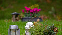 Tierfriedhof: Rasengrab mit Hundeskulptur