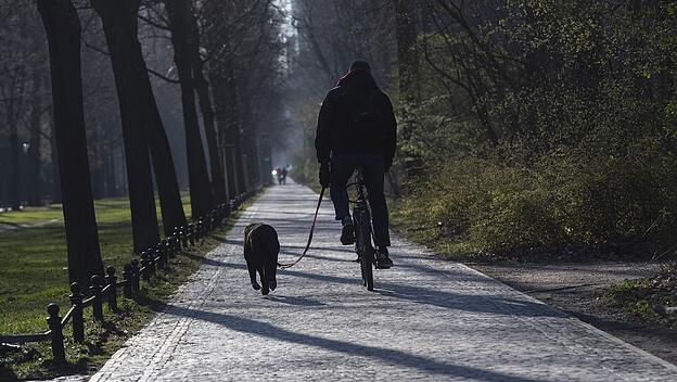 Chancen aus der Corona-Krise