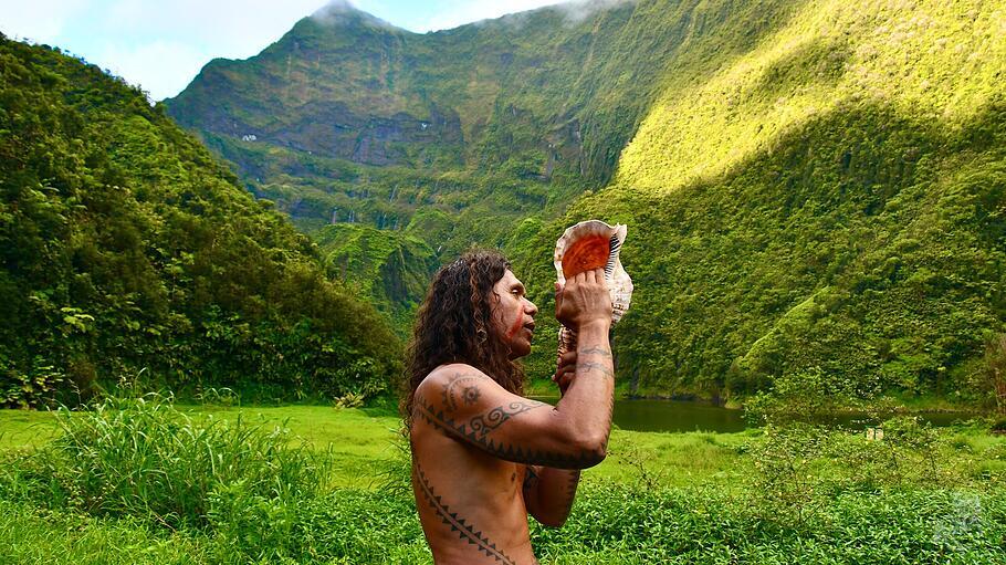 Wälder und Felder Tahitis