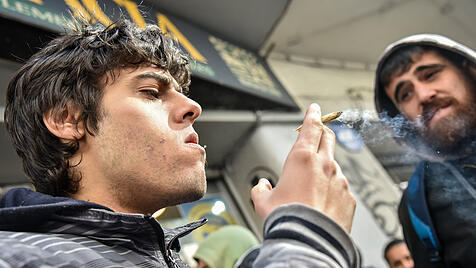 Marihuana-Verkauf in Apotheken