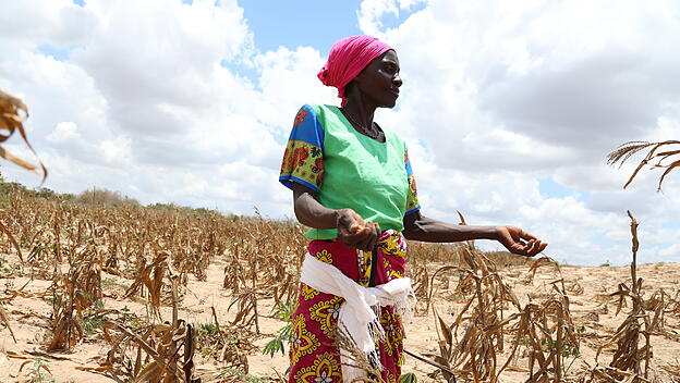 Dürre, Kriege und die Pandemie verschärfen die Hungersnot in Afrika