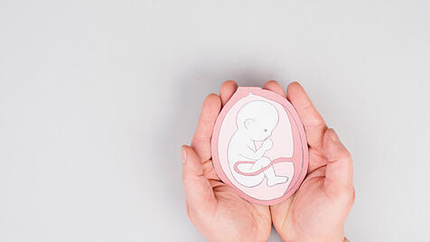 Ungeborenes Baby im Uterus