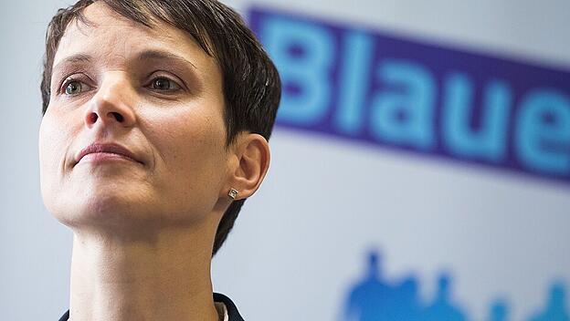 Rechtsstreit zwischen der AfD und Petry