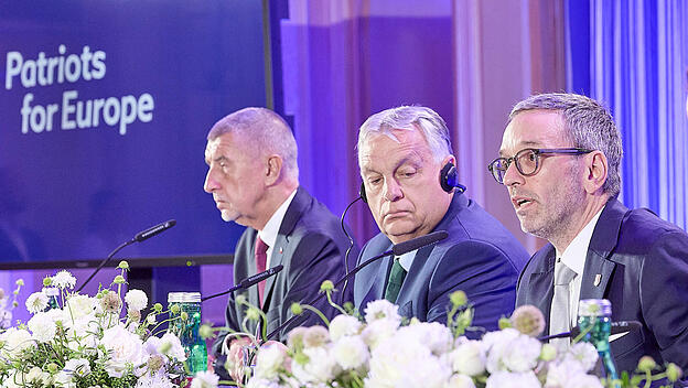 Viktor Orbán, Herbert Kickl und Andrej Babiš