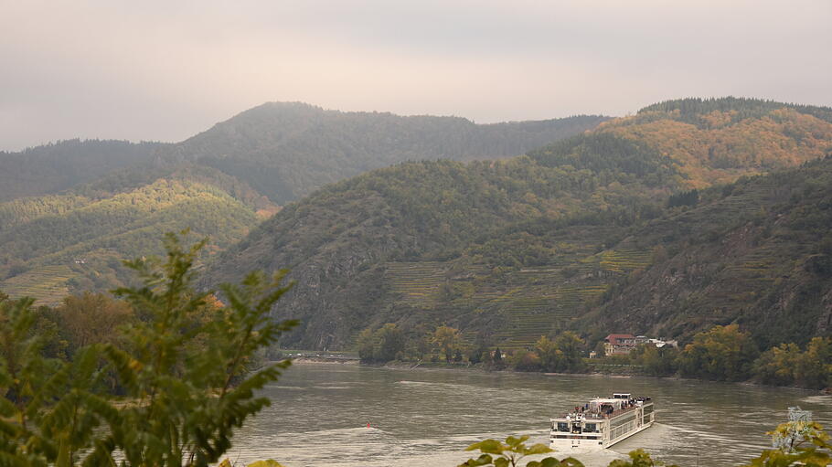 Die schöne blaue Donau kann, wie hier in der Wachau, auch grün aussehen.
