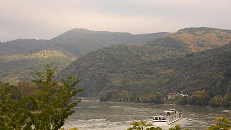 Die schöne blaue Donau kann, wie hier in der Wachau, auch grün aussehen.