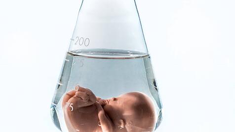 Modell eines Embryos in einem Laborglas