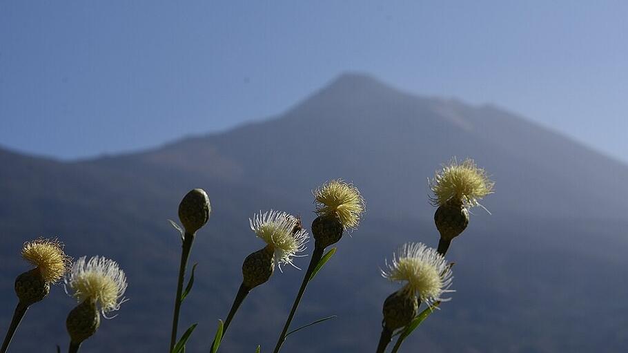 Teide Nationalpark