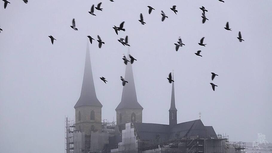 Bamberger Dom, Nebel