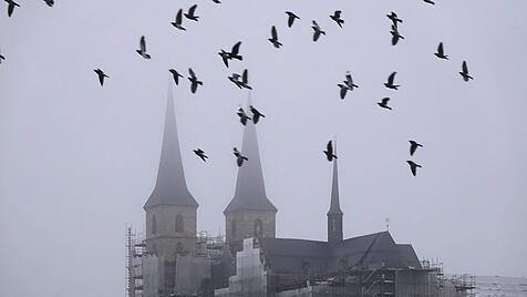 Bamberger Dom, Nebel