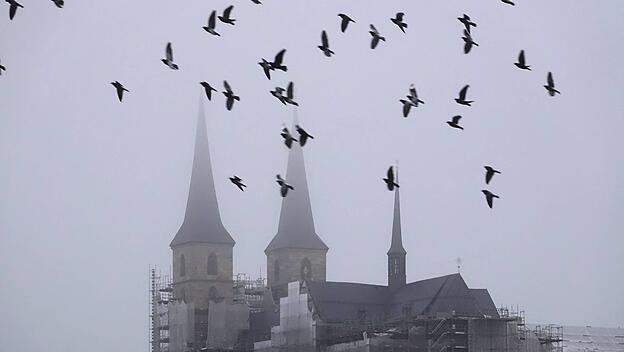 Bamberger Dom, Nebel