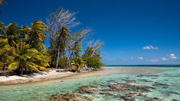 Inseltraum gesucht? So oder ähnlich könnte das neue Domizil aussehen.