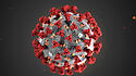 Studie:«Schönes» Coronavirus als weniger ansteckend empfunden