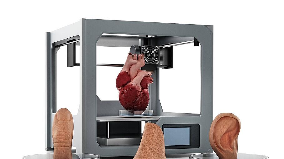 Organe aus dem 3D-Drucker