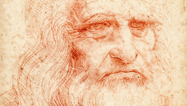 Leonardo da vinci portrait postcard
