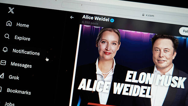 Symbolbild Alice Weidel und Elon Musk sprechen auf X