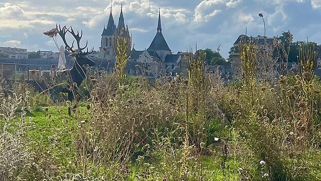 Kathedrale  und Schloss Blois