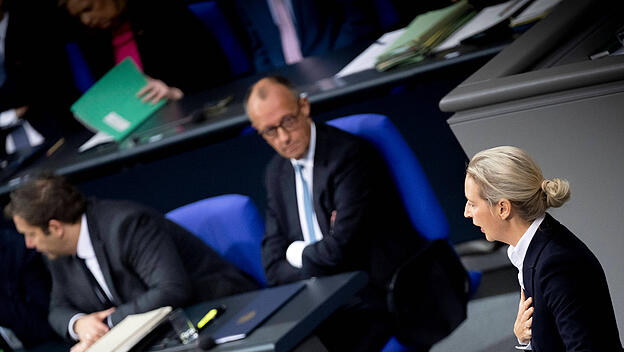 Alice Weidel, Friedrich Merz - Bundestag