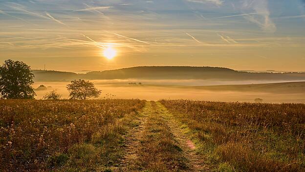Landschaft, Feldweg, Felder, Nebel, Sonnenaufgang