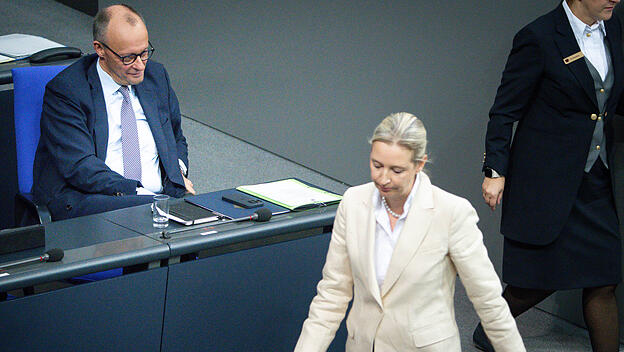 Friedrich Merz (CDU) und Alice Weidel (AfD)