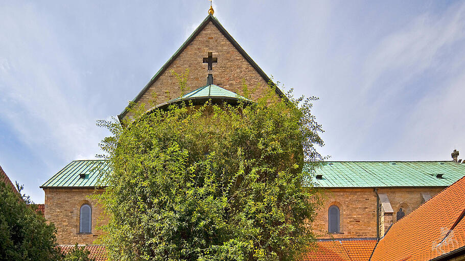 Hildesheimer Dom