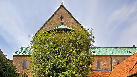 Hildesheimer Dom