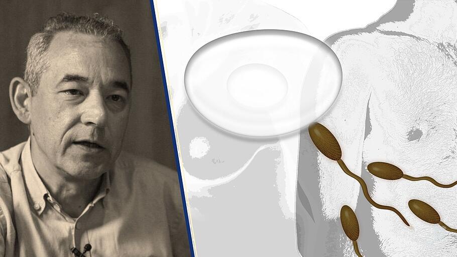 Gesch&auml;ft mit dem Kinderwunsch