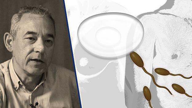 Gesch&auml;ft mit dem Kinderwunsch