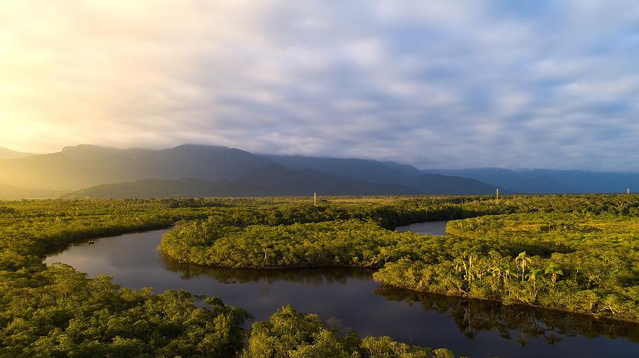 Interview zur Amazonas-Synode