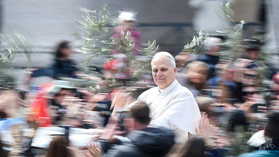 Papst Leo XIV. am Palmsonntag