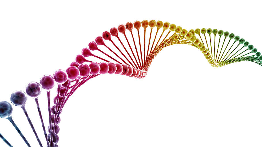 DBK kritisiert Gen-Experiment