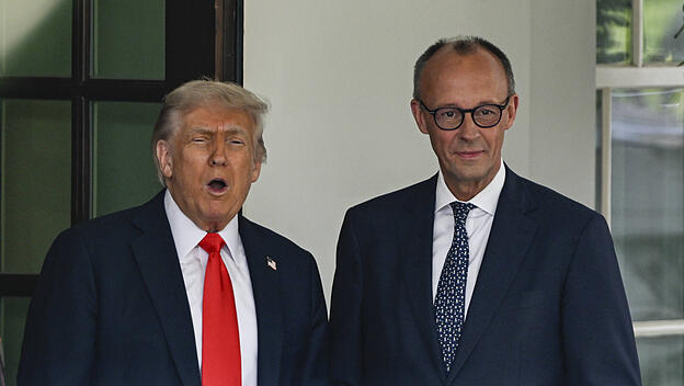 Donald Trump - Friedrich Merz